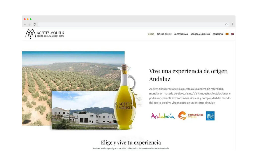 diseño web wordpress malaga